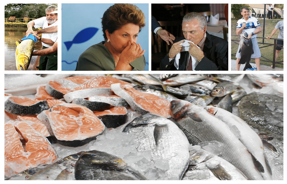 “Peixe” nosso de cada dia: gastos em pescados, com cartão corporativo federal, chegam a 128 mil em um ano