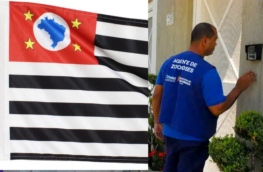 São Paulo é o 9º Estado do País a Decretar Emergência em Saúde Pública por Causa da Dengue